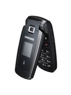 Samsung S401i