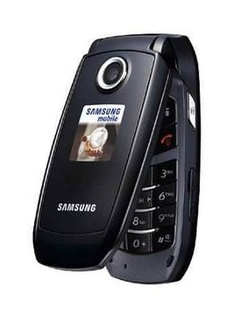 Samsung S501i